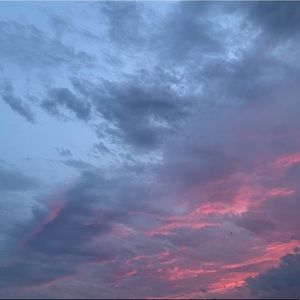 Meet your Posher, Rowan